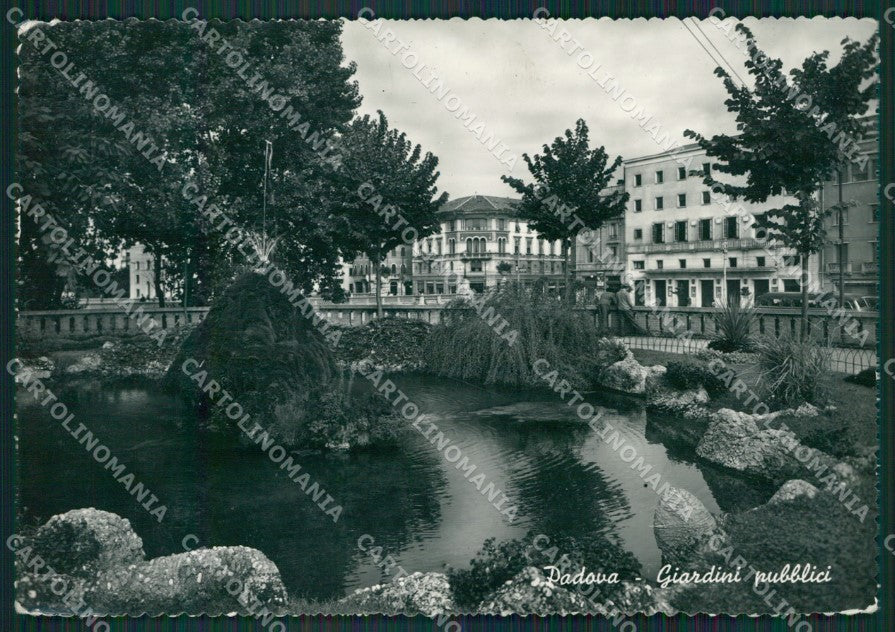 Padova Città Foto FG cartolina KV7141 – fronte