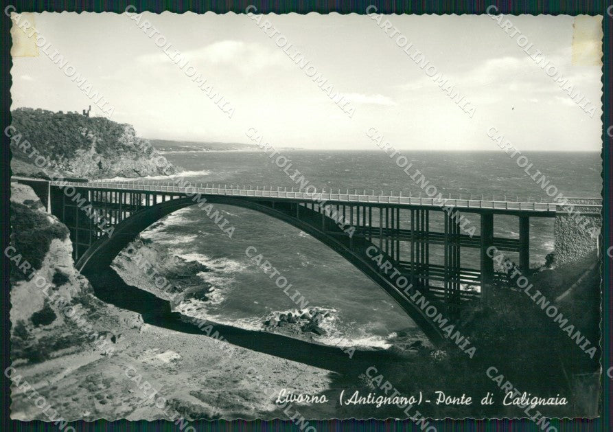 Livorno Antignano NASTRO ADESIVO Foto FG cartolina KV7144 – fronte