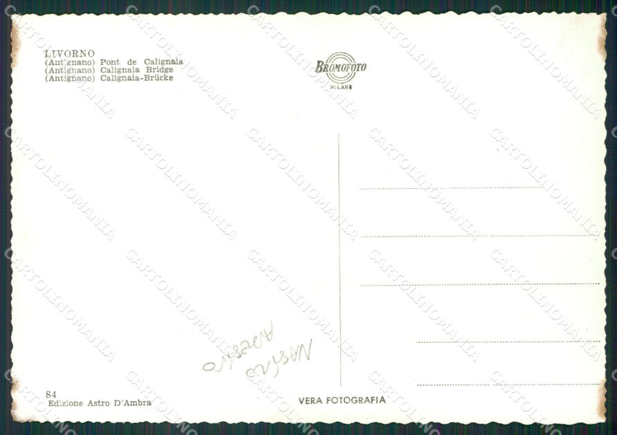 Livorno Antignano NASTRO ADESIVO Foto FG cartolina KV7144 – retro
