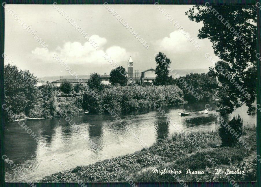 Pisa Vecchiano Migliarino Pisano Foto FG cartolina KV7159 – fronte