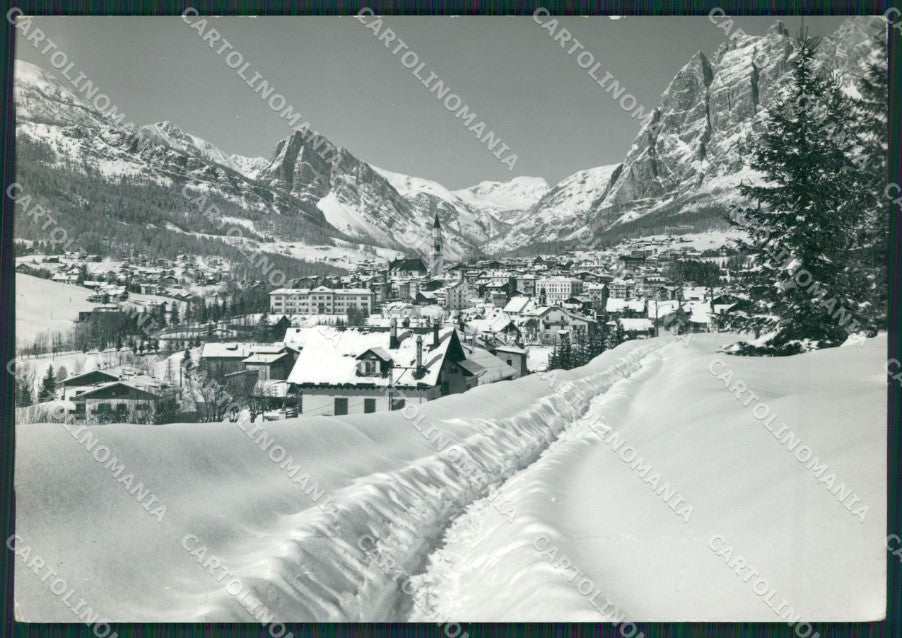 Belluno Cortina Nevicata Foto FG cartolina KV7177 – fronte