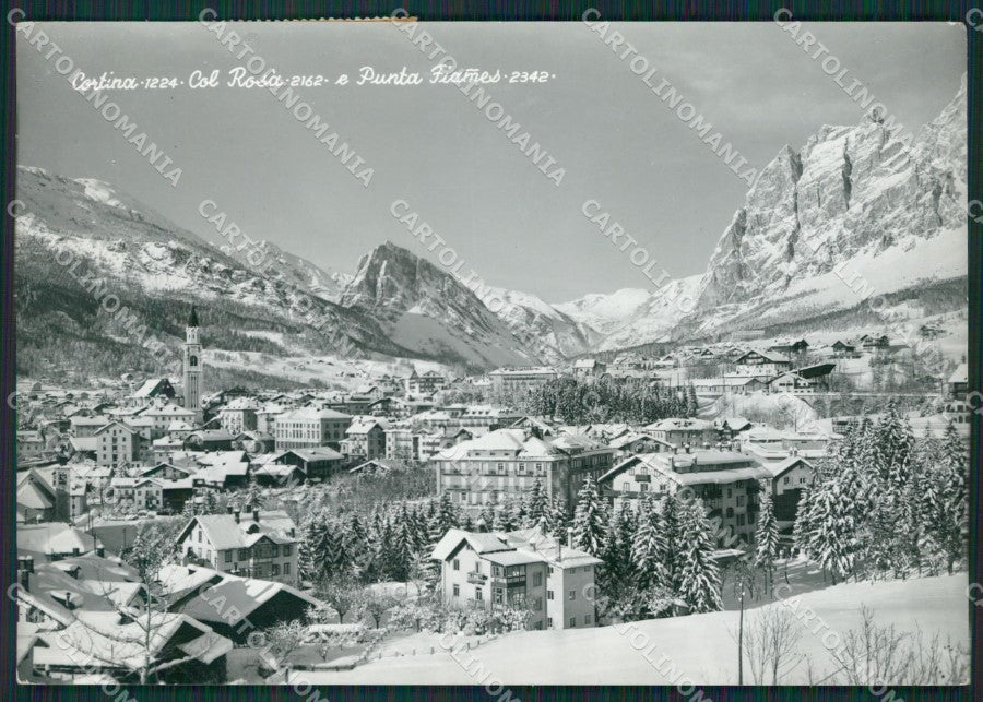 Belluno Cortina Nevicata Foto FG cartolina KV7178 – fronte