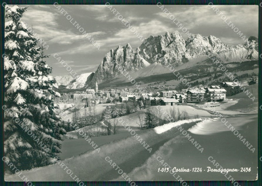 Belluno Cortina Nevicata Foto FG cartolina KV7180 – fronte