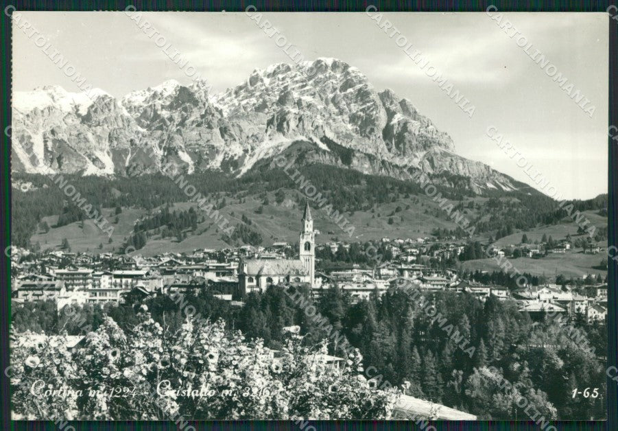 Belluno Cortina Foto FG cartolina KV7183 – fronte