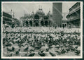 Venezia Città Piccioni STRAPPINO Foto FG cartolina KV7185 – fronte