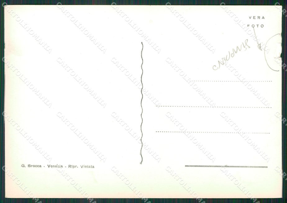 Venezia Città Piccioni STRAPPINO Foto FG cartolina KV7185 – retro