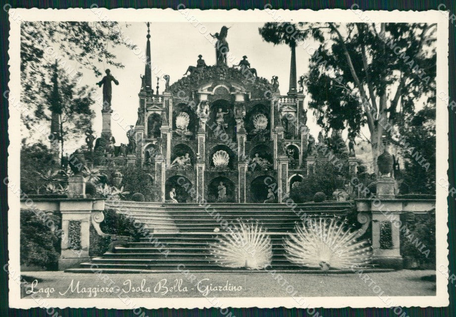 Verbania Stresa Isola Bella Lago Maggiore Pavoni Foto FG cartolina KV7205 – fronte