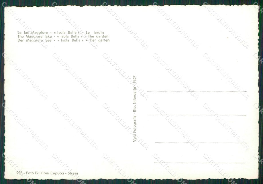 Verbania Stresa Isola Bella Lago Maggiore Pavoni Foto FG cartolina KV7205 – retro