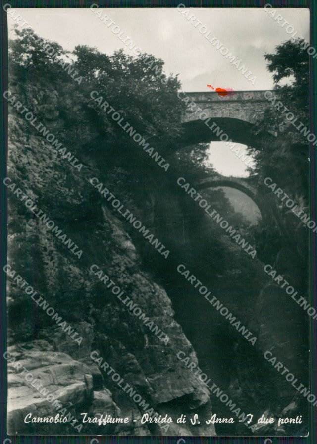 Verbania Cannobio Orrido MACCHIA Foto FG cartolina KV7209 – fronte