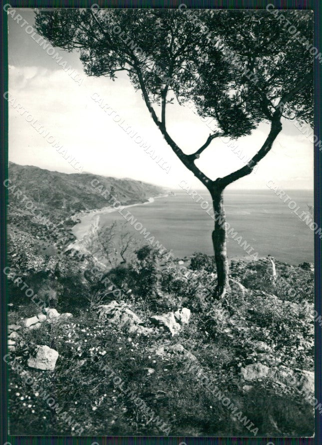 Messina Taormina Foto FG cartolina KV7243 – fronte