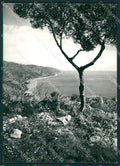 Messina Taormina Foto FG cartolina KV7243 – fronte