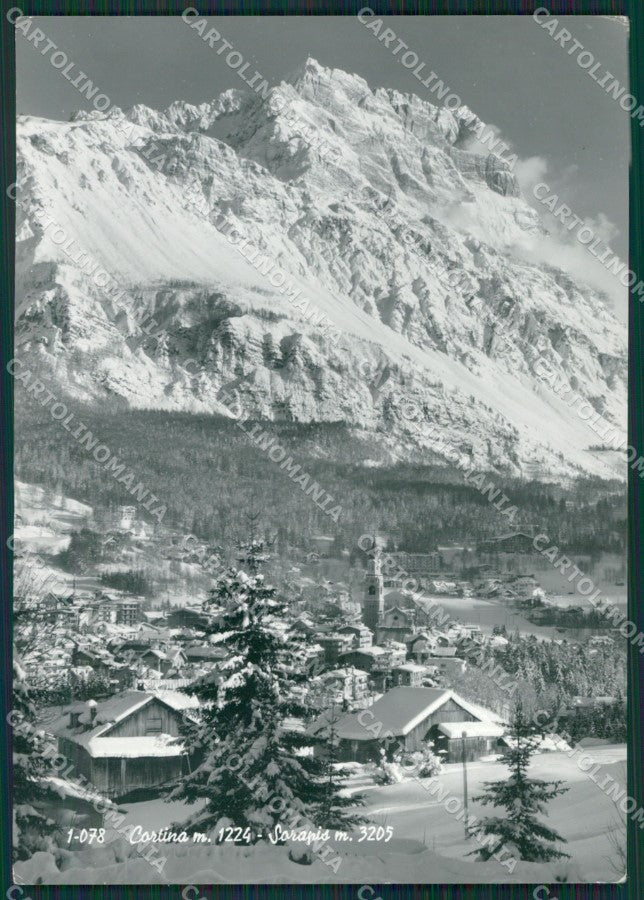 Belluno Cortina Nevicata Foto FG cartolina KV7244 – fronte