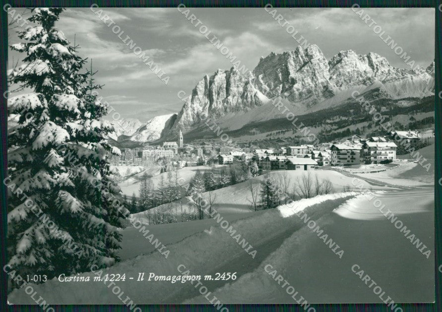 Belluno Cortina Nevicata Foto FG cartolina KV7245 – fronte