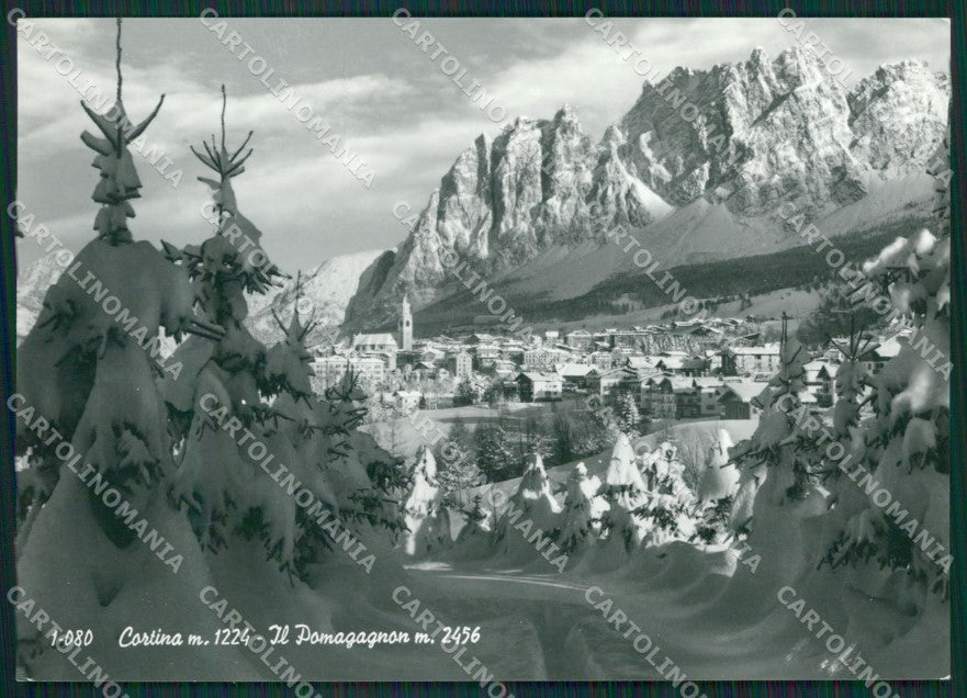 Belluno Cortina Nevicata Foto FG cartolina KV7246 – fronte