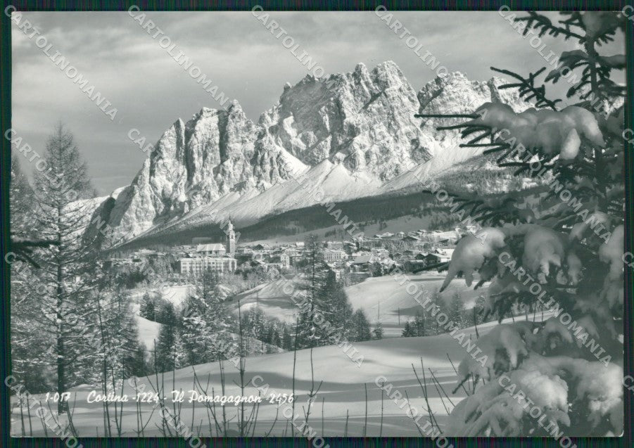 Belluno Cortina Nevicata Foto FG cartolina KV7247 – fronte