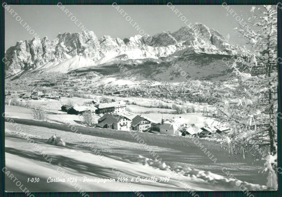 Belluno Cortina Nevicata Foto FG cartolina KV7248 – fronte