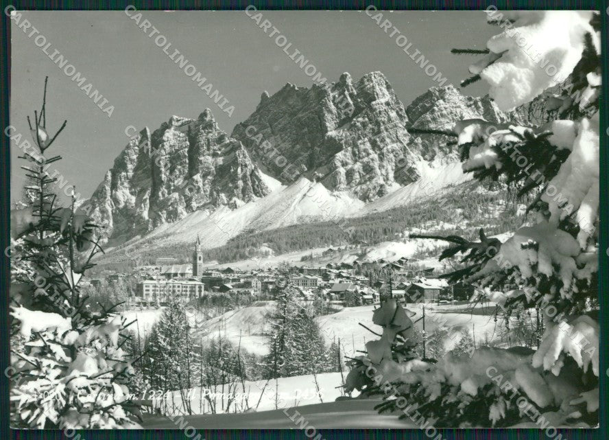 Belluno Cortina Nevicata Foto FG cartolina KV7251 – fronte