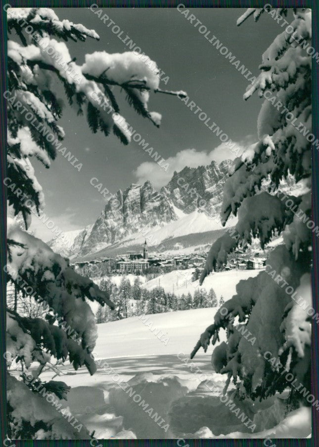 Belluno Cortina Nevicata Foto FG cartolina KV7257 – fronte