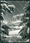 Belluno Cortina Nevicata Foto FG cartolina KV7257 – fronte