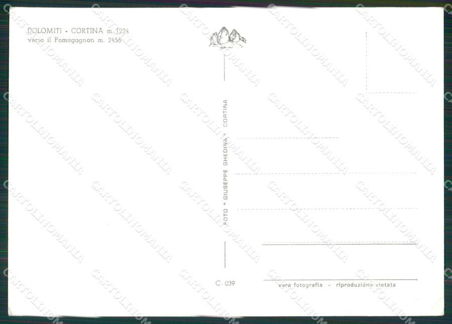 Belluno Cortina Nevicata Foto FG cartolina KV7257 – retro