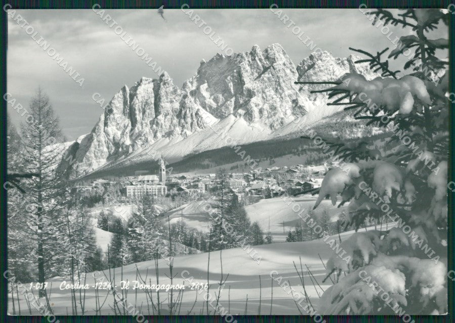 Belluno Cortina Nevicata Foto FG cartolina KV7259 – fronte