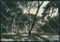 Lucca Viareggio Foto FG cartolina KV7266 – fronte