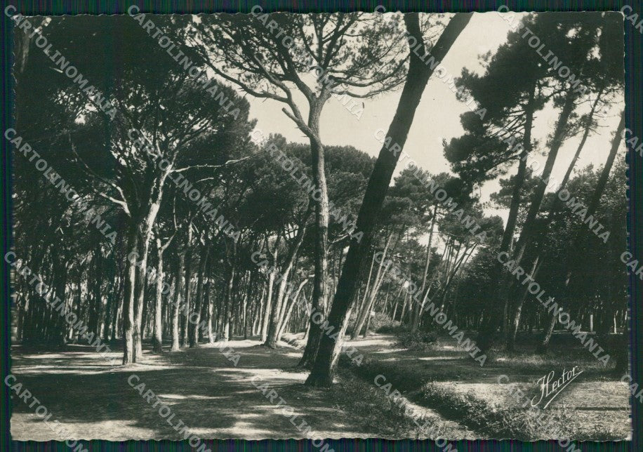 Lucca Viareggio Foto FG cartolina KV7266 – fronte