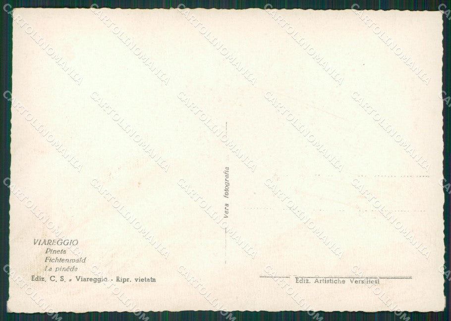 Lucca Viareggio Foto FG cartolina KV7266 – retro