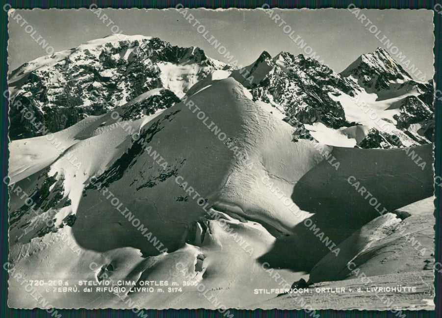 Bolzano Stelvio Ortles Rifugio Livrio Nevicata Foto FG cartolina KV7281 – fronte