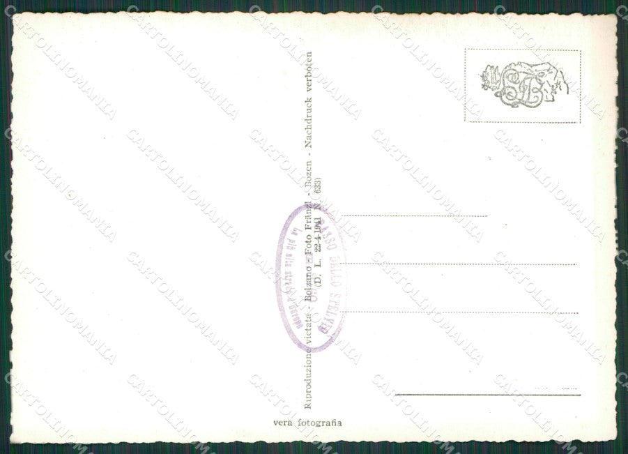 Bolzano Stelvio Ortles Rifugio Livrio Nevicata Foto FG cartolina KV7281 – retro