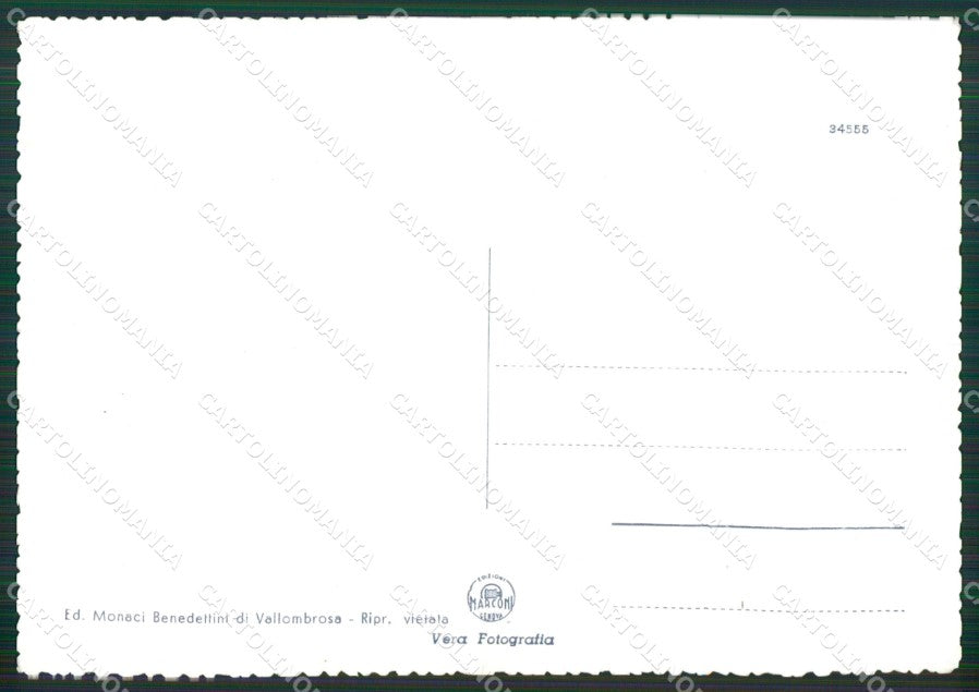 Firenze Reggello Vallombrosa Foto FG cartolina KV7287 – retro