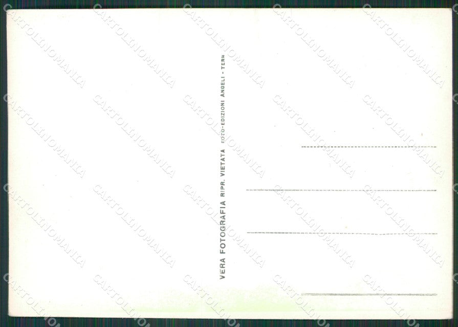 Vicenza Città Foto FG cartolina KV7290 – retro