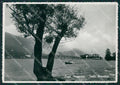 Verbania Stresa Isola Pescatori Lago Maggiore Foto FG cartolina KV7296 – fronte