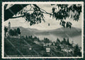 Verbania Belgirate Lago Maggiore Foto FG cartolina KV7306 – fronte