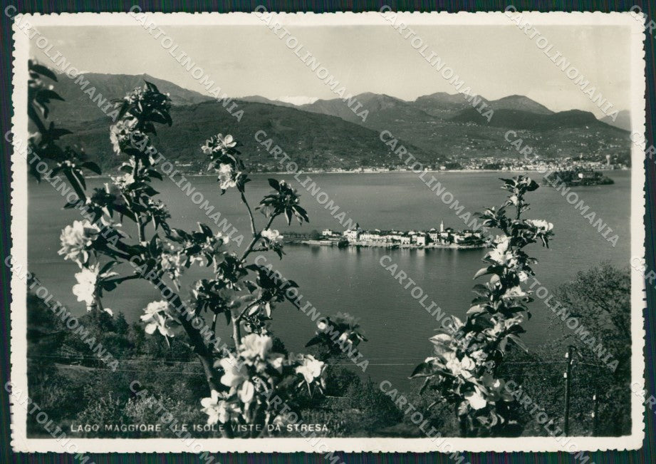 Verbania Stresa Isole Borromeo Foto FG cartolina KV7307 – fronte
