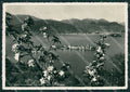 Verbania Stresa Isole Borromeo Foto FG cartolina KV7307 – fronte