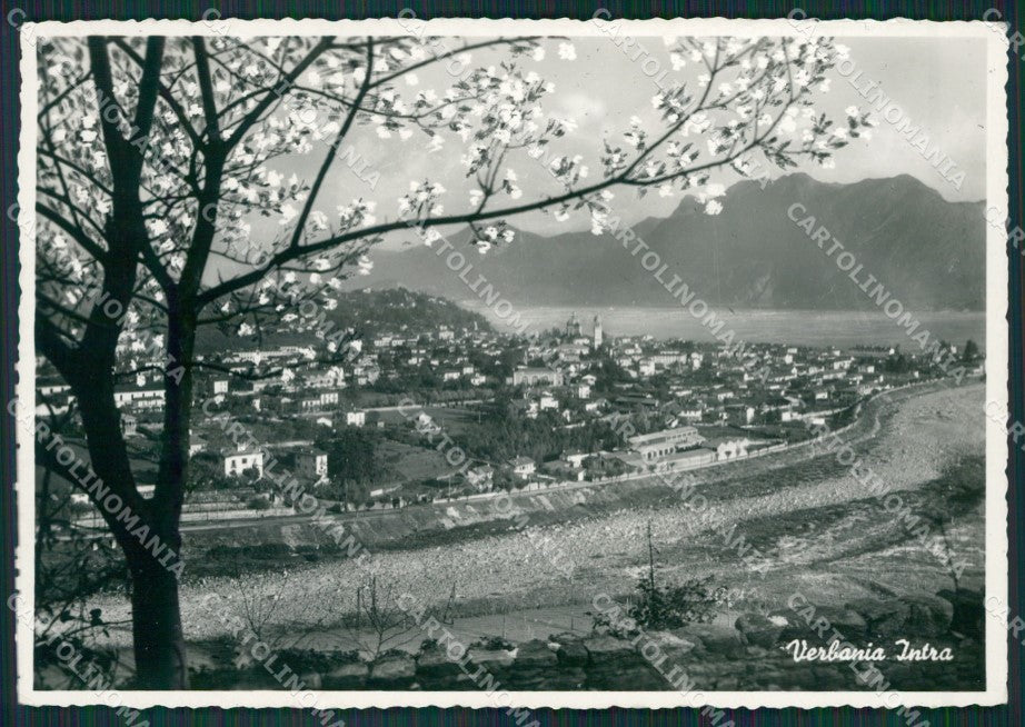 Verbania Intra Lago Maggiore Foto FG cartolina KV7313 – fronte