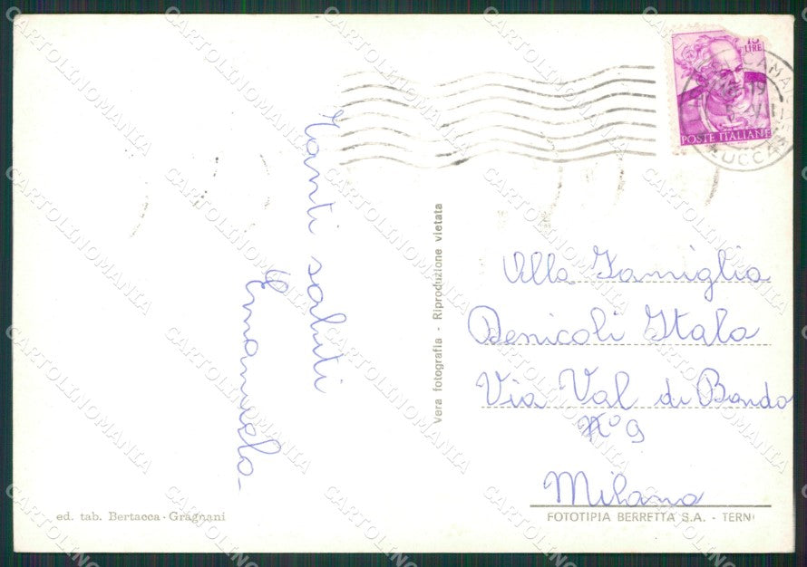 Lucca Camaiore Lido di Foto FG cartolina KV7332 – retro