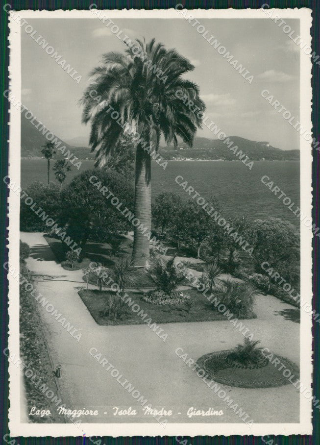 Verbania Stresa Isola Madre Lago Maggiore Foto FG cartolina KV7341 – fronte