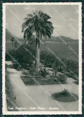Verbania Stresa Isola Madre Lago Maggiore Foto FG cartolina KV7341 – fronte