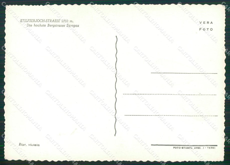 Bolzano Passo dello Stelvio Foto FG cartolina KV7350 – retro