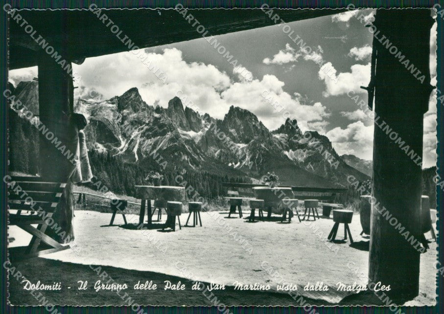 Trento San Martino di Castrozza Gruppo Pale Malga Ces Foto FG cartolina KV7354 – fronte