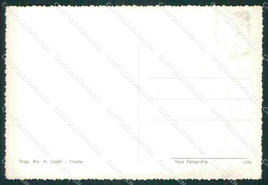 Trieste Città Saluti da Foto FG cartolina KV7359 – retro