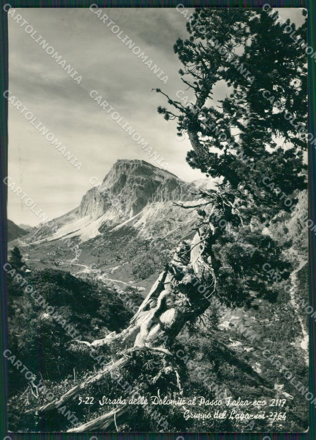 Belluno Passo Falzarego Foto FG cartolina KV7362 – fronte