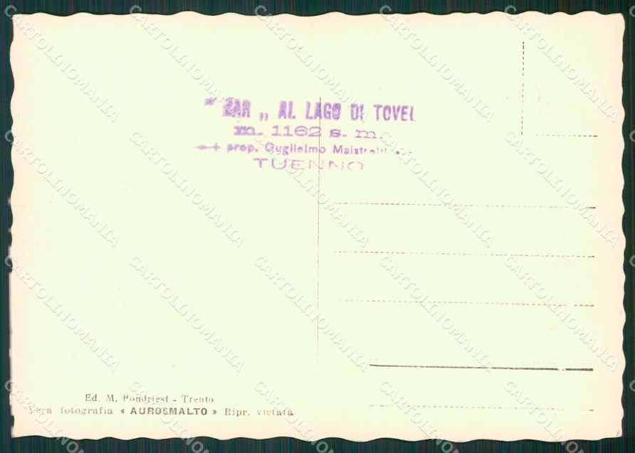 Trento Tuenno Lago di Tovel Foto FG cartolina KV7363 – retro