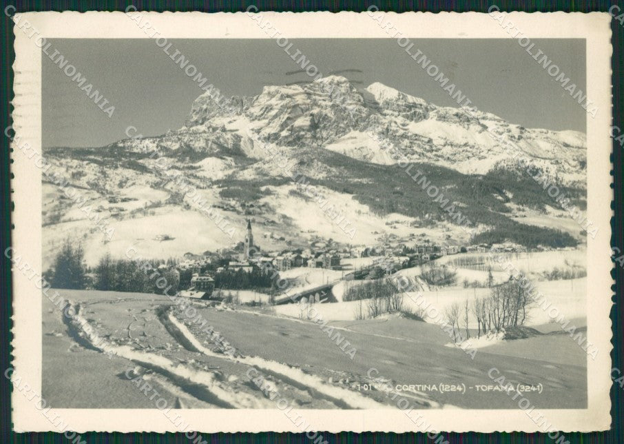 Belluno Cortina Nevicata Foto FG cartolina KV7387 – fronte