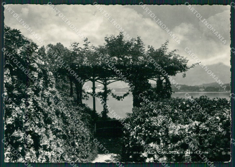 Como Tremezzo Villa Carlotta lago di Como Foto FG cartolina KV7395 – fronte