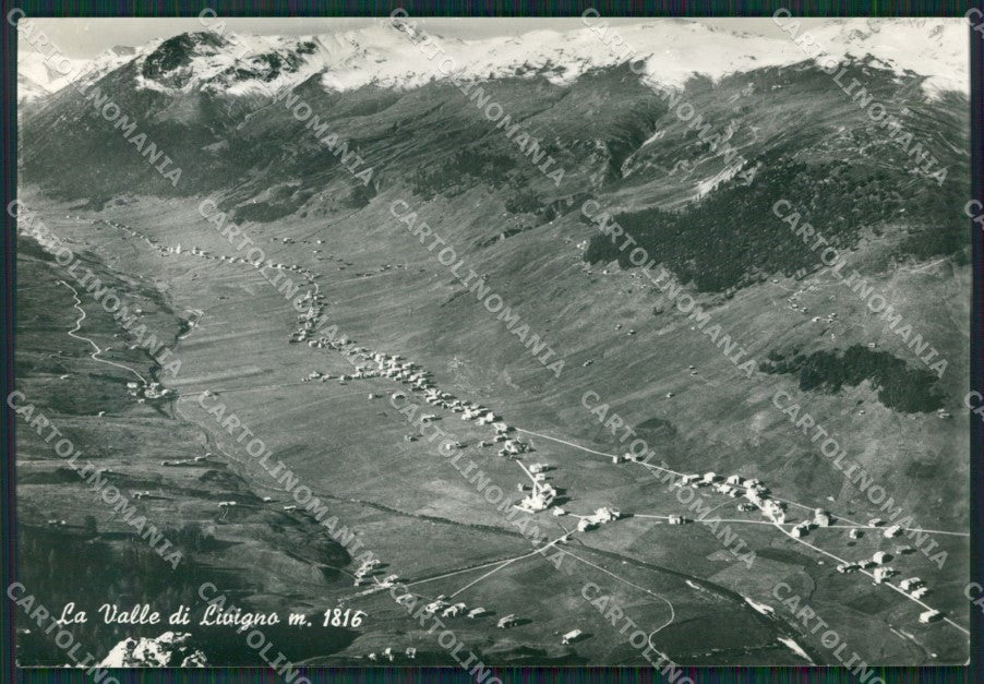 Sondrio Livigno Foto FG cartolina KV7430 – fronte