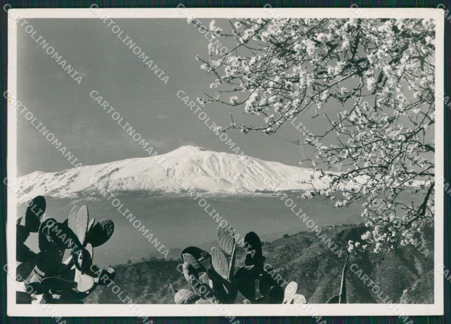 Messina Taormina Etna Foto FG cartolina KV7463 – fronte