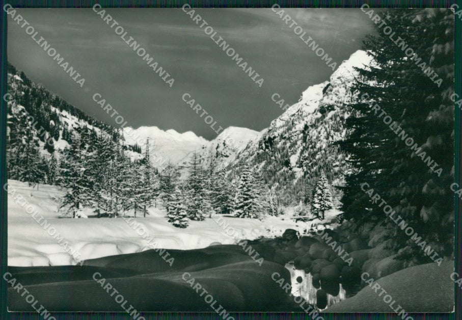 Verbania Val Formazza Nevicata Foto FG cartolina KV7486 – fronte